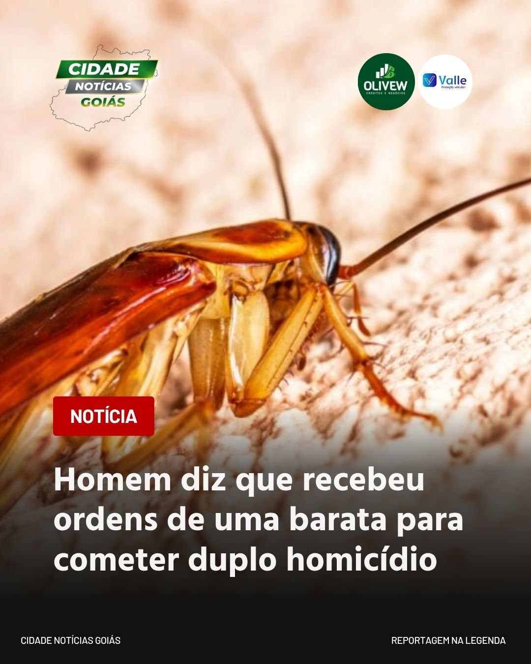 Homem diz que recebeu ordens de uma barata para cometer duplo homicídio