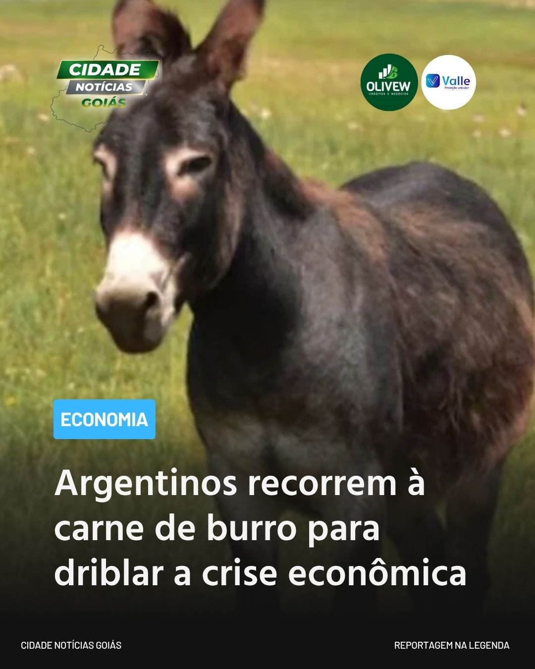 Argentinos recorrem à carne de burro para driblar a crise econômica