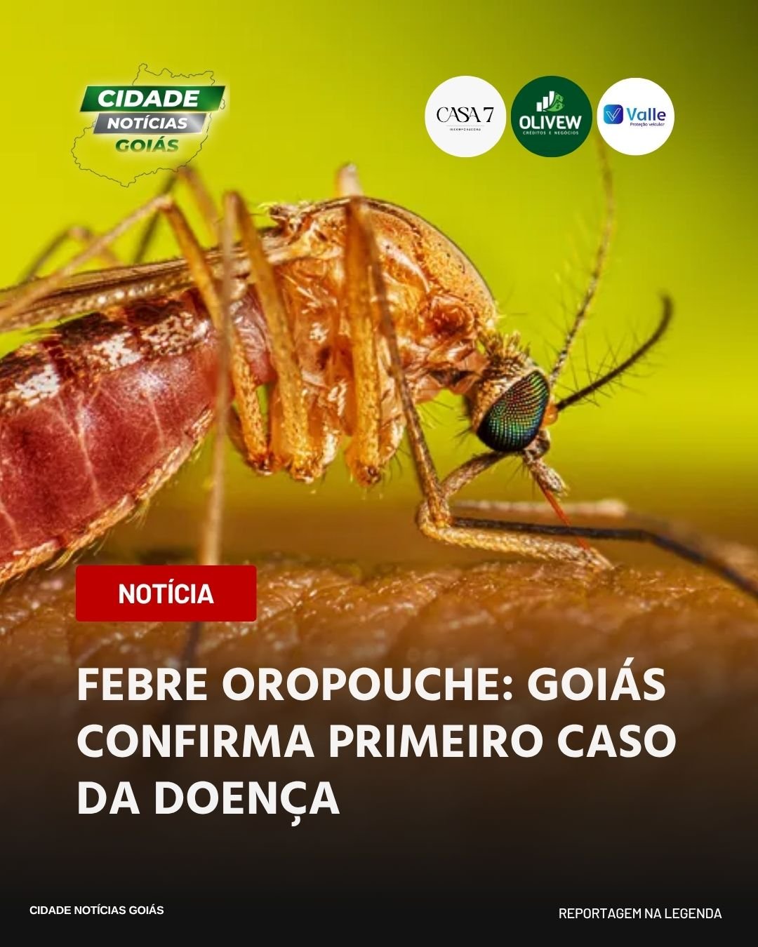 FEBRE OROPOUCHE: GOIÁS CONFIRMA PRIMEIRO CASO DA DOENÇA