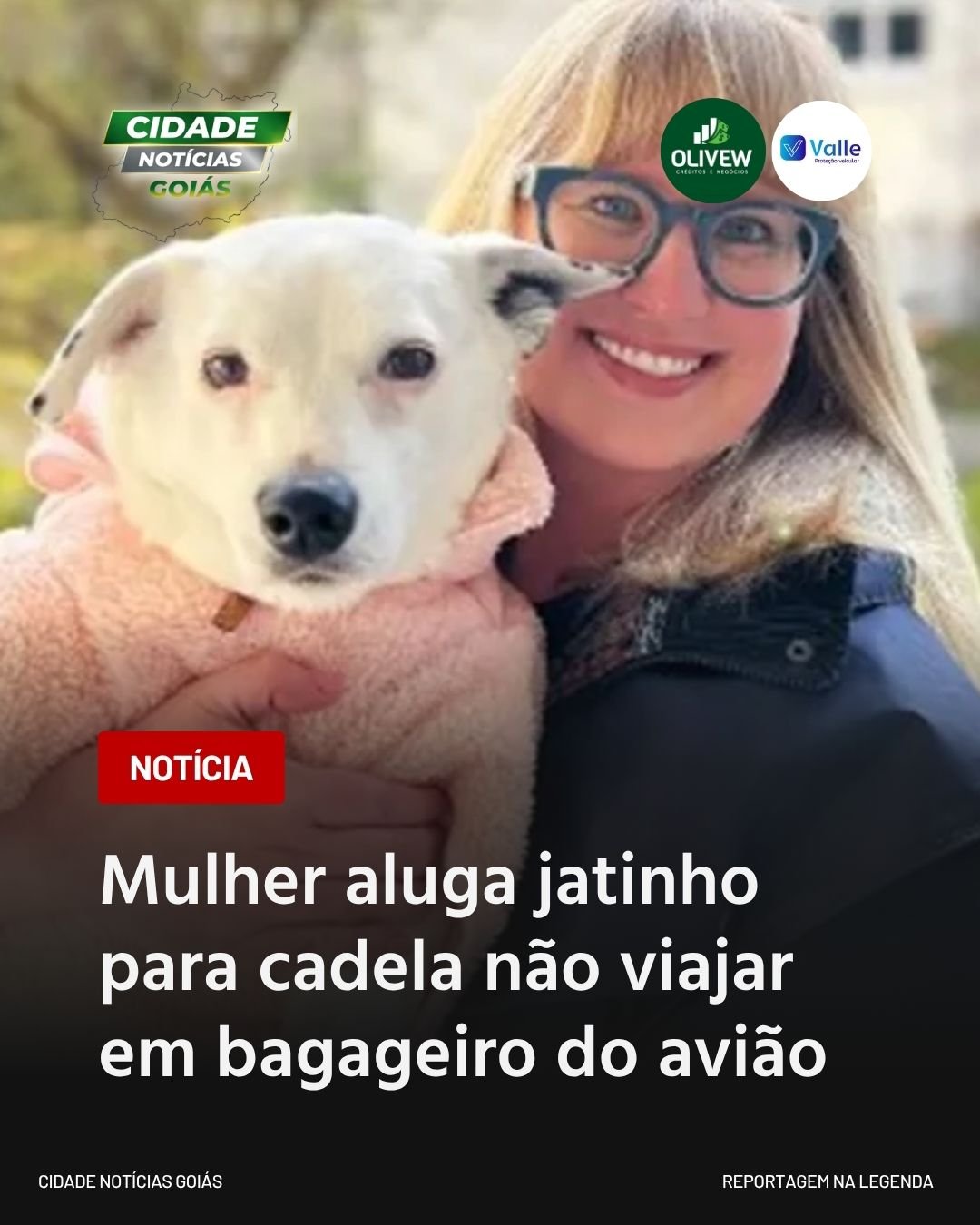 Mulher aluga jatinho para cadela não viajar em bagageiro do avião