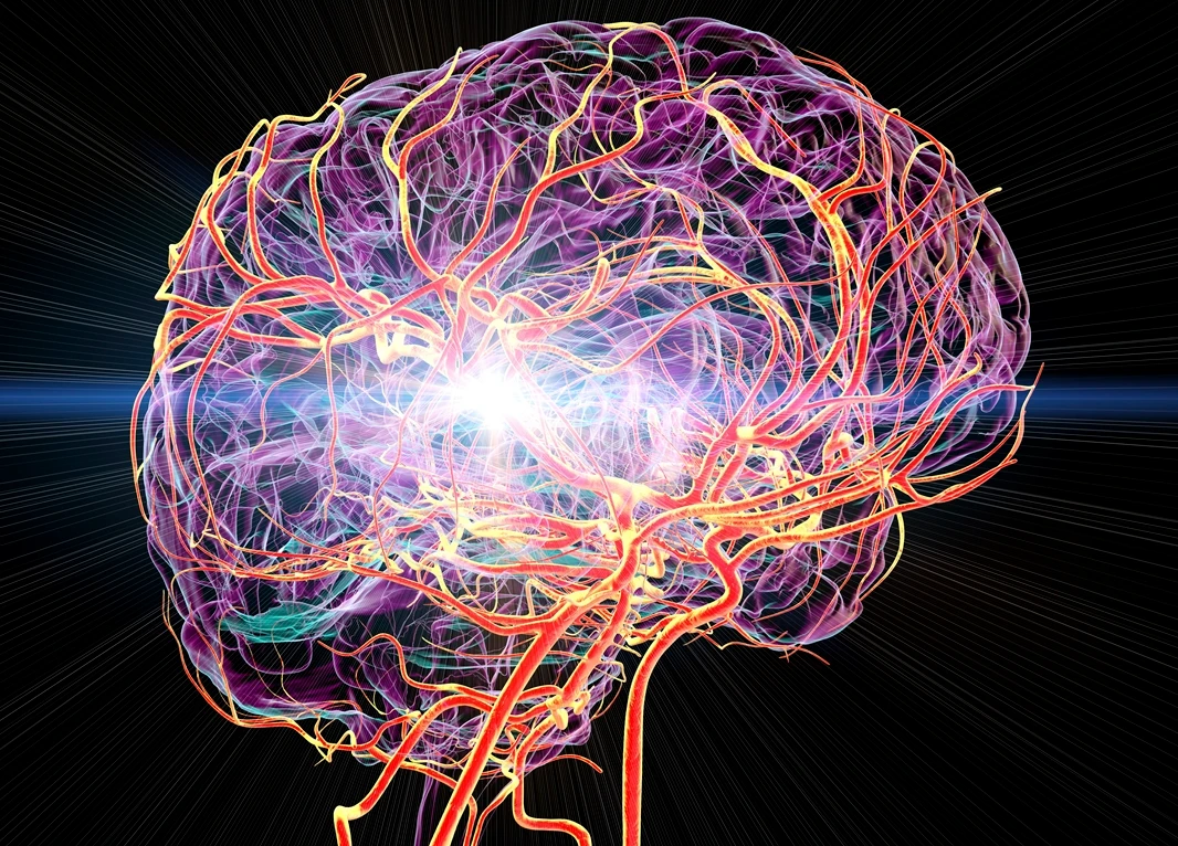 MOLÉCULA ANTI-INFLAMATÓRIA MOSTRA POTENCIAL CONTRA PARKINSON